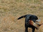 IMG_20201011_092636769.jpg