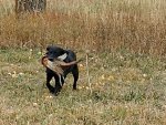 IMG_20201011_092634281.jpg