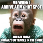 Screen Shot 2020-10-19 at 3.58.07 PM.png