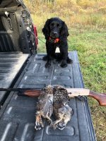 Reg & Grouse 10042020.jpg