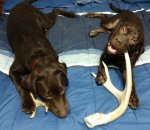 IMG_20200618_195022359 (1).jpg