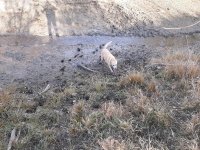 20201107_142926.jpg