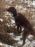 1605745995548.png 1605745995548.png