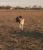 IMG_20121225_220034_zpsels5prh2.jpg IMG_20121225_220034_zpsels5prh2.jpg