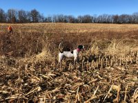 Lulu MO Nov 28 2020.jpg