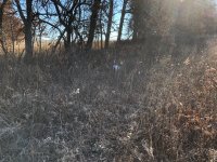 Lu MO Dec 1 2020 3.jpg