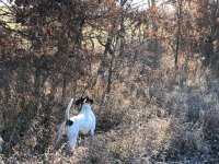 Lu pointing Emmett backing MO Dec 1 2020 1.jpg