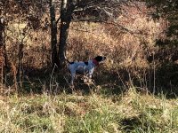 Lu MO Dec 1 2020 2.jpg