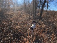 Mae pointing Emmett backing Scotty backing Dec 3 2020 1.jpg