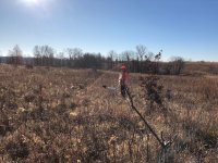 Scotty pointing Danny flushing Dec 3 2020 1.jpg