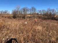 Amos pointing Danny flushing Dec 3 2020 1.jpg