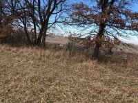 Scotty backing Lu at 40 yards Brent flushing Dec 2 2020 1.jpg