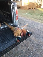 12-3-20 roosters.jpg