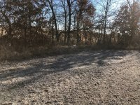 Scotty pointing Emmett backing MO Dec 14 2020 1.jpg