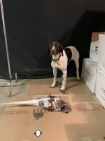 99362612-2E24-459A-9A82-A4D1D0529ACE.jpeg 99362612-2E24-459A-9A82-A4D1D0529ACE.jpeg