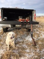 12-21-20 roosters.jpg