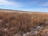 Emmet pointing Lu backing Kansas Day 2 1.jpg