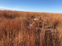 Emmett pointing Lu backing Kansas Day 3 Dec 18th 1.jpg