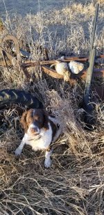 Gus and prairie grouse 2020.jpg