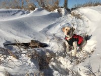 Back to my usual ways.jpg Back to my usual ways.jpg