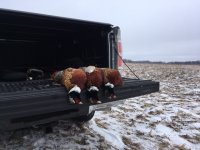 12-26-20 roosters.jpg