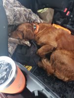 20201229_152719.jpg