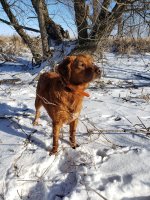 20201228_135433.jpg