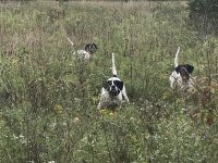 Emmett Scotty and Lu Sept 2020.JPG