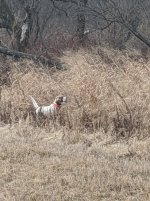 NE Iowa Jan 20 p6.jpg