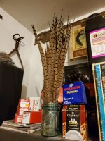 2020 tail feathers.jpg