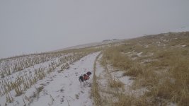 chloe pt 1 8 2021.jpg