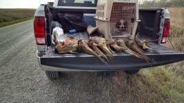 IMG_20161029_130237831_HDR (1).jpg