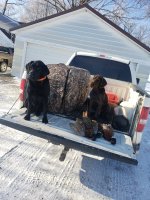 Tess and Megs 1.2.21.jpg