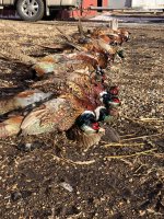 5FDF0D94-DC13-4D42-8026-16B00007902C.jpeg 5FDF0D94-DC13-4D42-8026-16B00007902C.jpeg