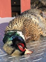 7C75E3B1-E75C-42E8-A71E-FF1BB1B05BCB.jpeg 7C75E3B1-E75C-42E8-A71E-FF1BB1B05BCB.jpeg