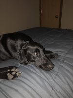 E0F3846B-2FFE-481A-B9C9-05D1ECEA516A.jpeg E0F3846B-2FFE-481A-B9C9-05D1ECEA516A.jpeg