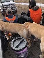 3FB83E51-32C2-4260-B7B4-2C622FE7D105.jpeg 3FB83E51-32C2-4260-B7B4-2C622FE7D105.jpeg