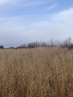 0EFA6E30-CE96-4818-A49D-BD4BD45BD614.jpeg 0EFA6E30-CE96-4818-A49D-BD4BD45BD614.jpeg