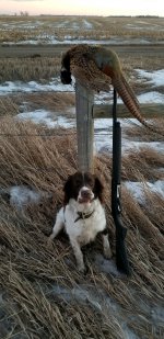 Gus with his WPA rooster 2020.jpg