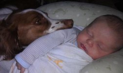 Byrson and Knox Sleeping.jpg