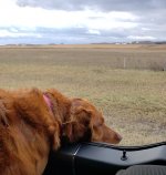 20191101_170047_001_saved (3).jpg