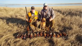 20191108_154740 - Copy.jpg