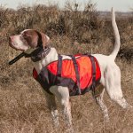 sylmar-body-guard-dog-vest-orange-101.jpeg