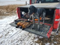 1-4-25 roosters 1.jpg