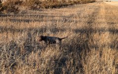 PXL_20241102_225746839.MP~2.jpg PXL_20241102_225746839.MP~2.jpg