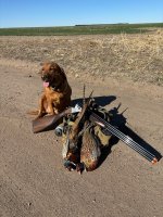 image0.jpeg image0.jpeg