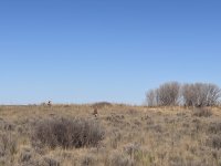 IMG_6789.jpeg IMG_6789.jpeg