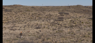 IMG_6797.png IMG_6797.png