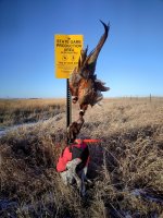 IMG_20250112_161157~2.jpg IMG_20250112_161157~2.jpg