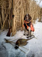 IMG_20250108_154641~2.jpg IMG_20250108_154641~2.jpg